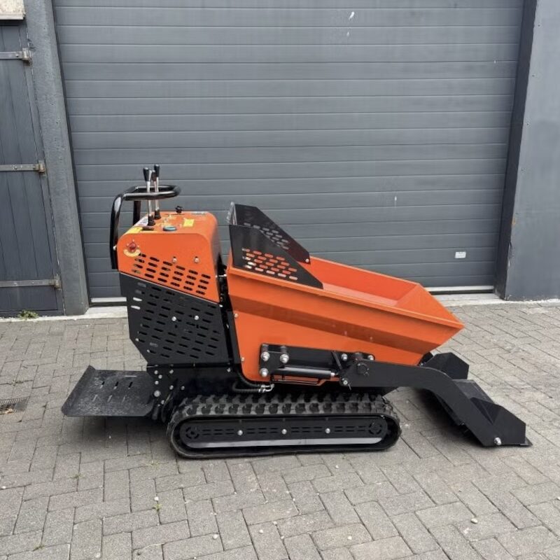 Rupsdumpertjes